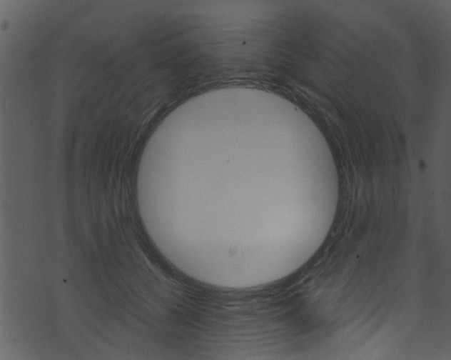 X0000074260560200608250903