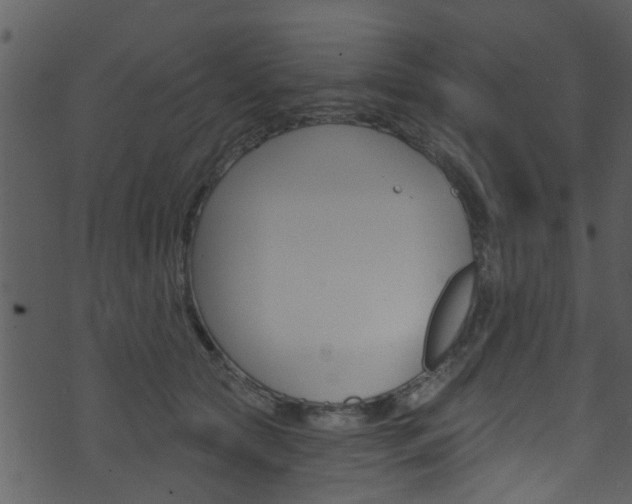 X0000074260561200608250903