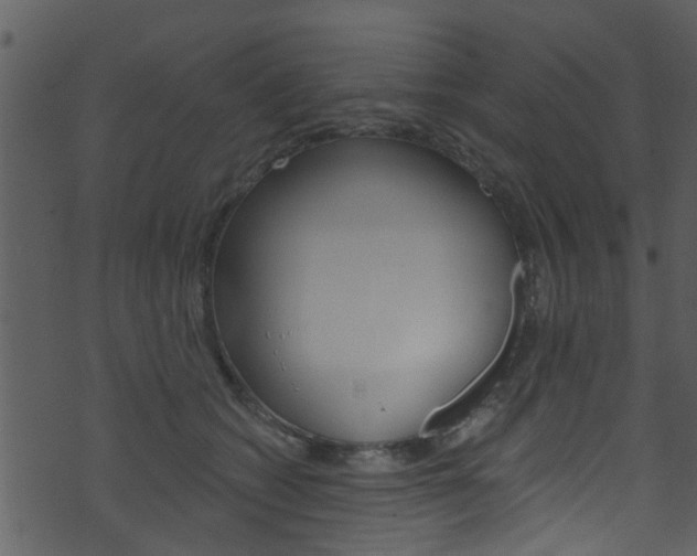 X0000074260562200608250903