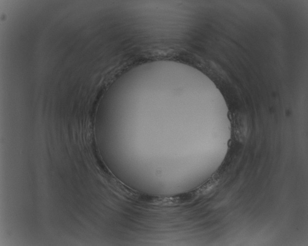 X0000074260563200608250903