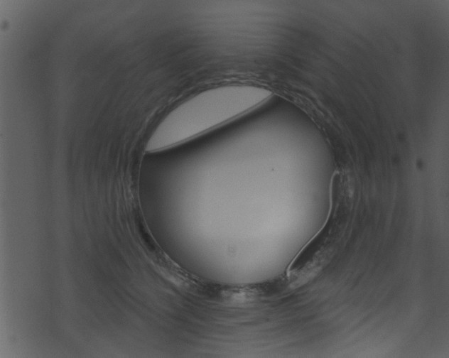 X0000074260564200608250903