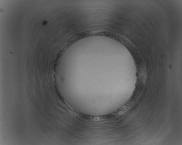 X0000074260565200608250903