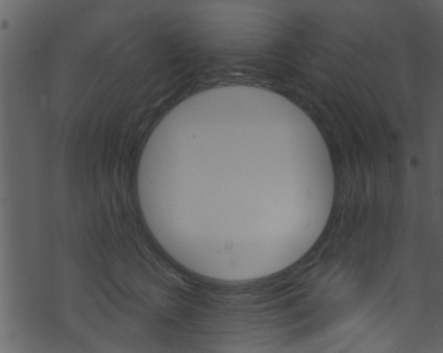 X0000074260566200608250903