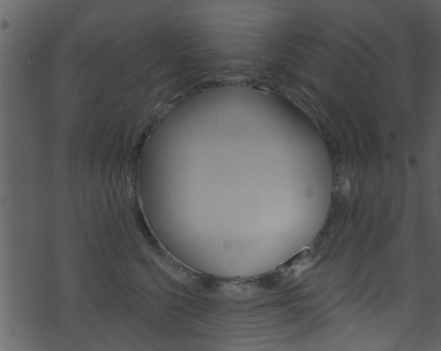 X0000074260568200608250903