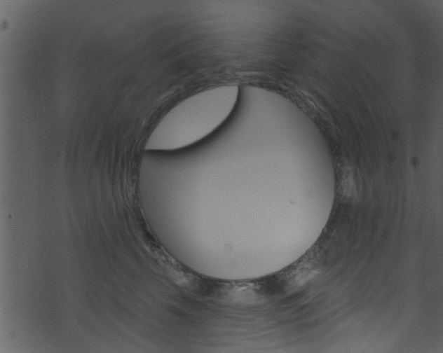 X0000074260569200608250903