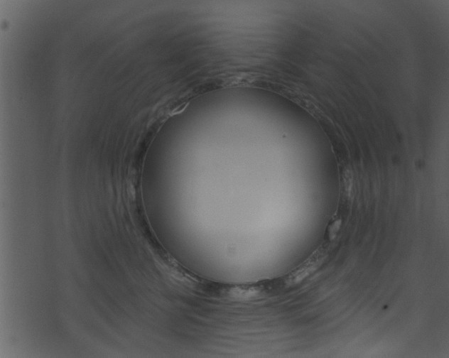 X0000074260570200608250903