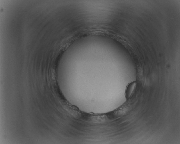 X0000074260571200608250903