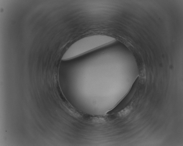 X0000074260572200608250903