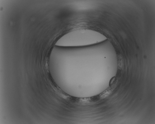 X0000074260573200608250903