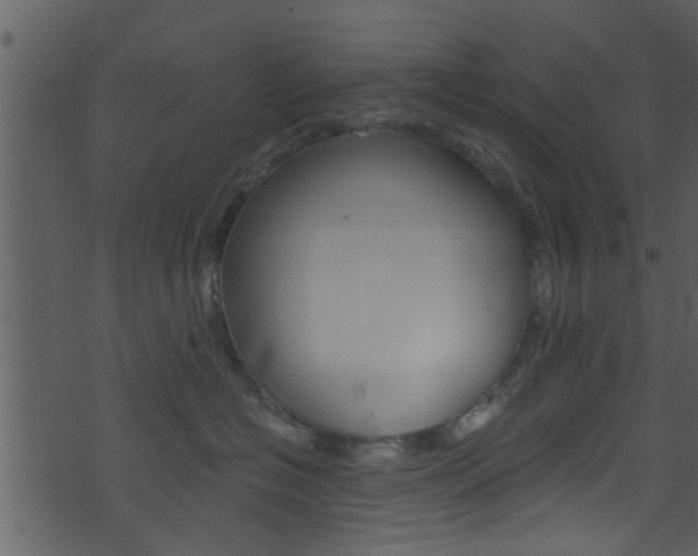 X0000074260574200608250903