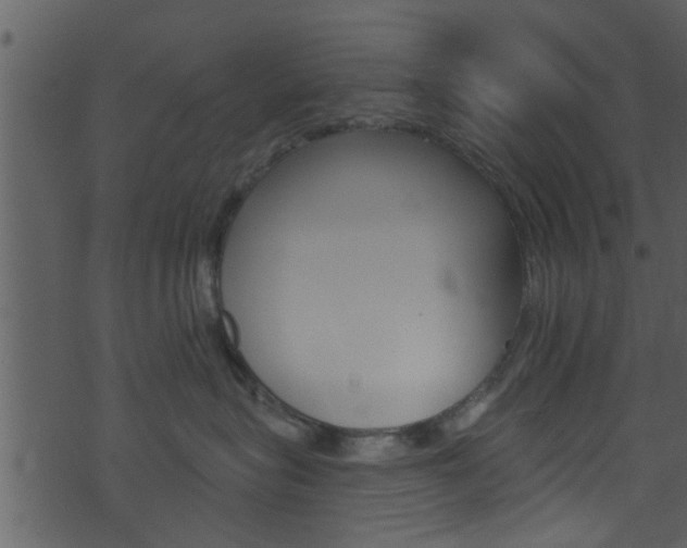 X0000074260575200608250903