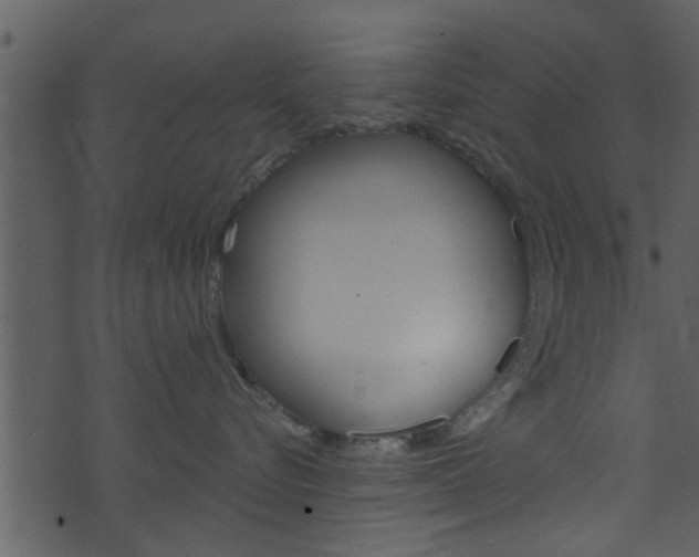 X0000074260576200608250903