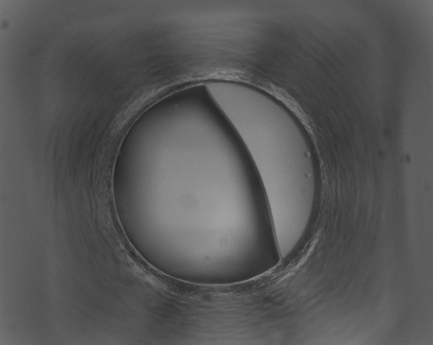 X0000074260577200608250902