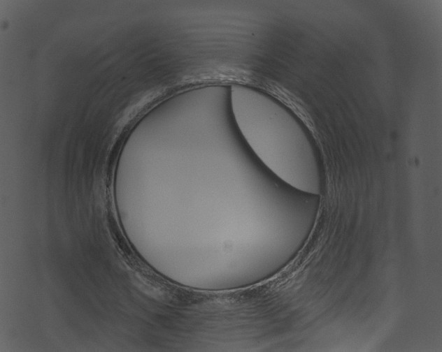 X0000074260578200608250902