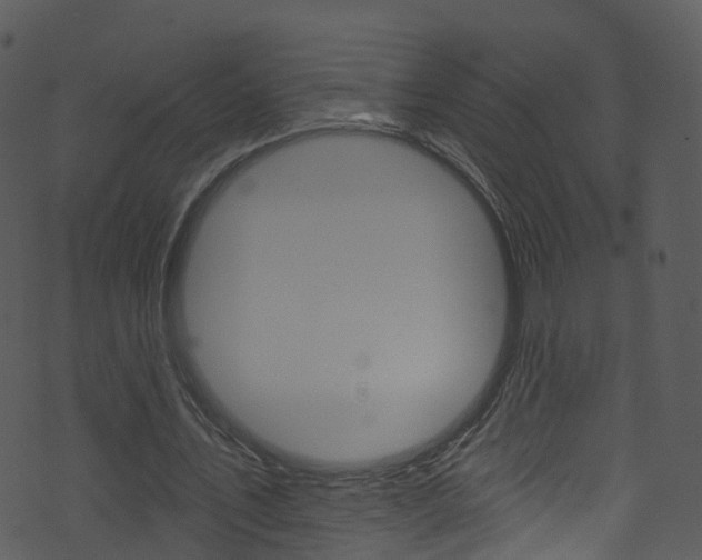 X0000074260579200608250902