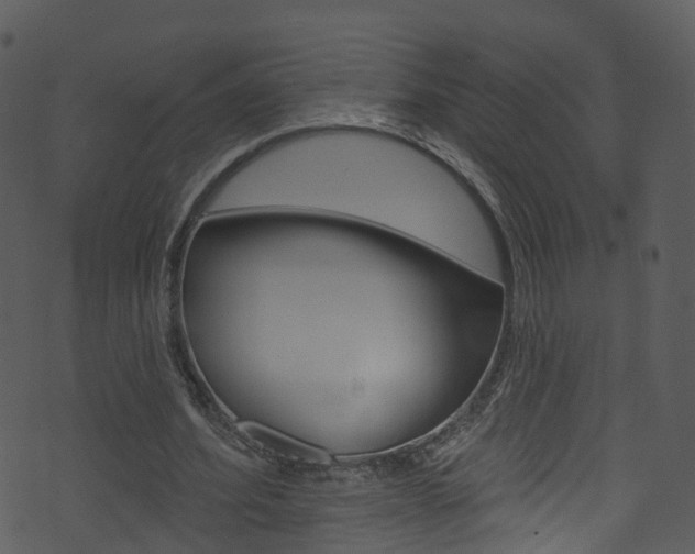 X0000074260580200608250902