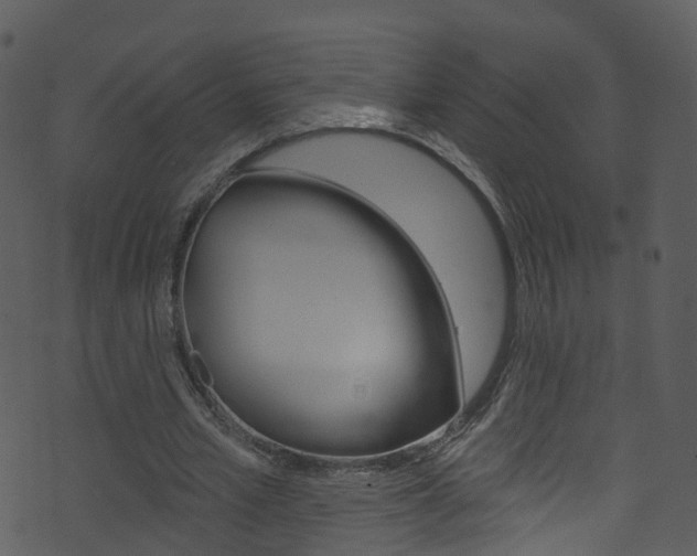 X0000074260581200608250902