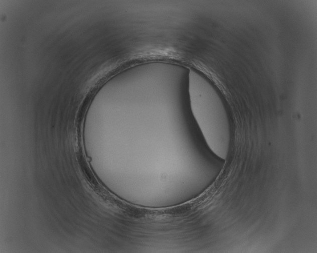 X0000074260582200608250902