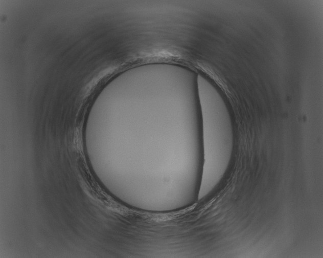 X0000074260583200608250902