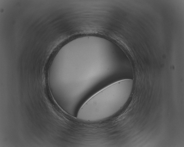 X0000074260584200608250902