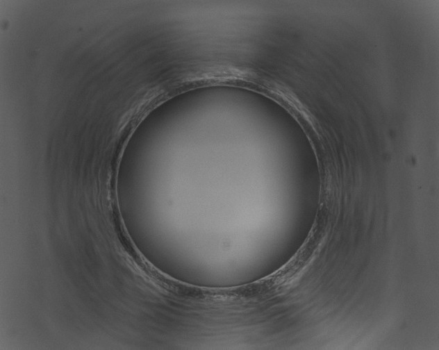 X0000074260585200608250902