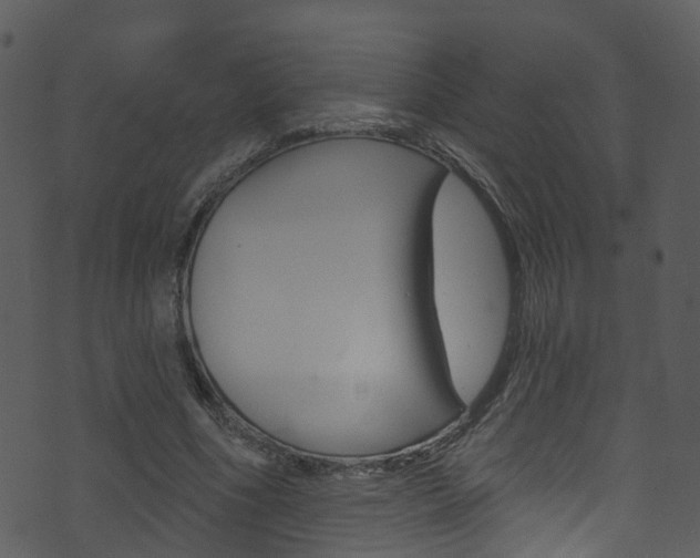 X0000074260586200608250902