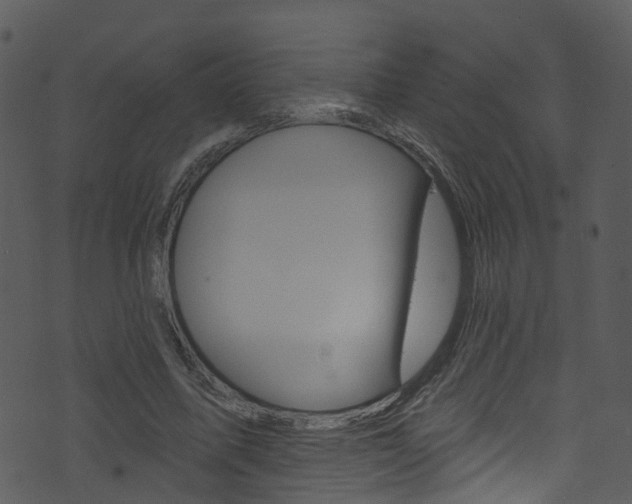 X0000074260587200608250902