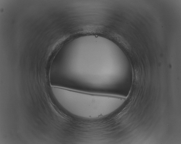 X0000074260588200608250902