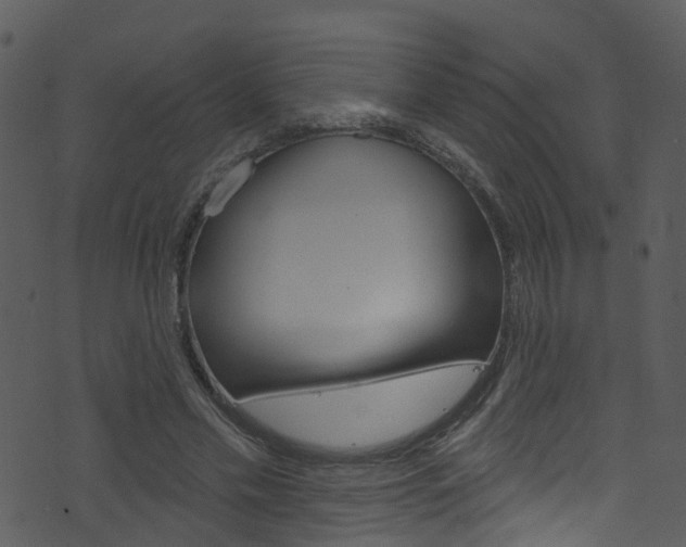 X0000074260589200608250902