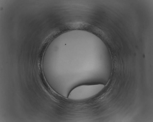 X0000074260590200608250902