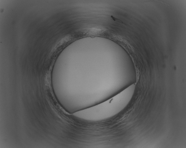 X0000074260591200608250902