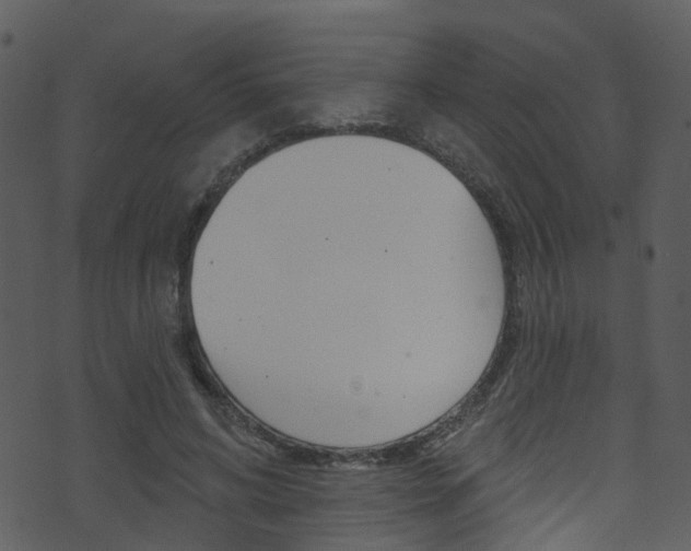 X0000074260592200608250902