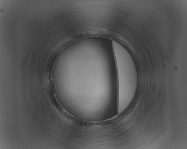 X0000074260593200608250902