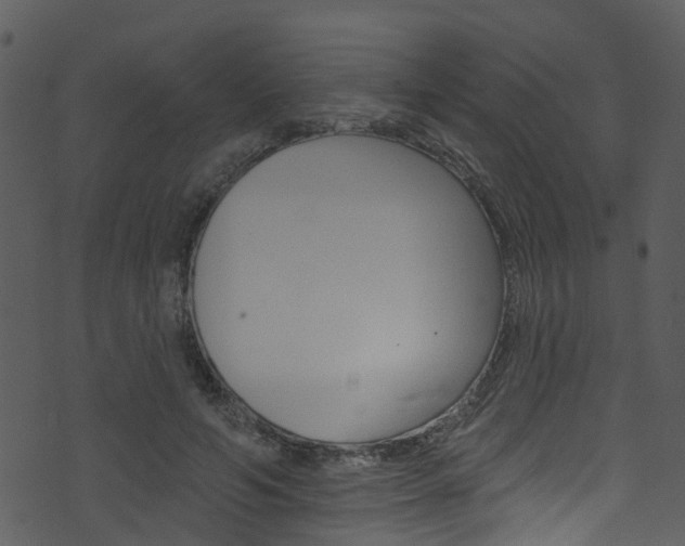 X0000074260594200608250902