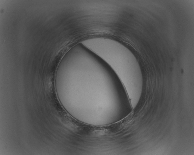 X0000074260595200608250902