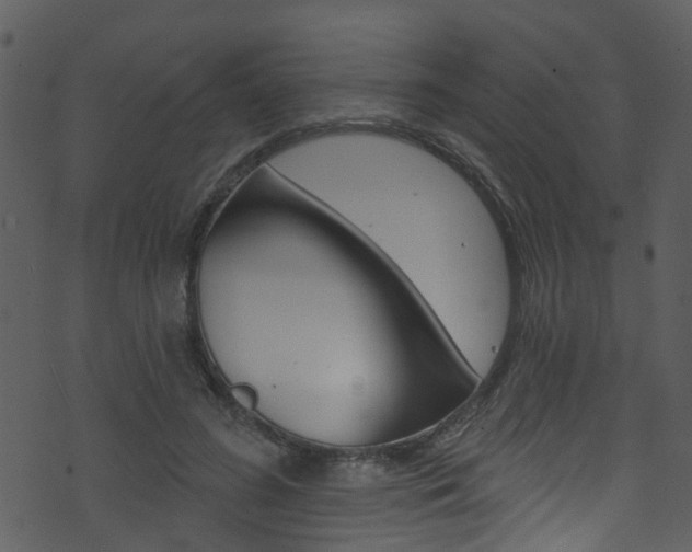 X0000074260596200608250902