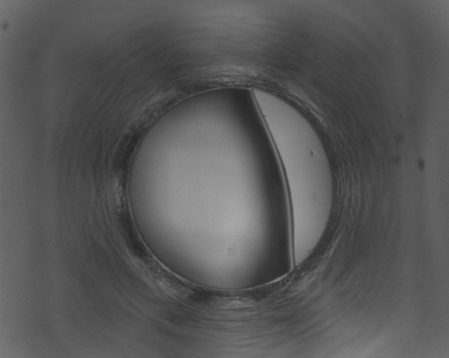 X0000074260597200608250902