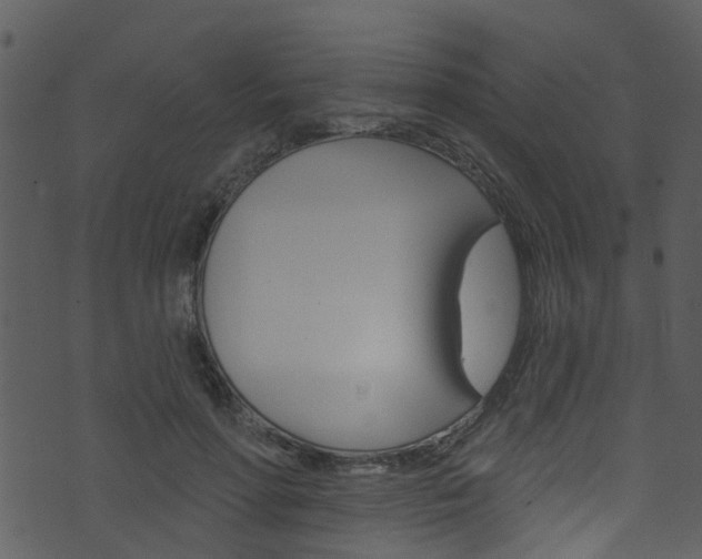 X0000074260598200608250902