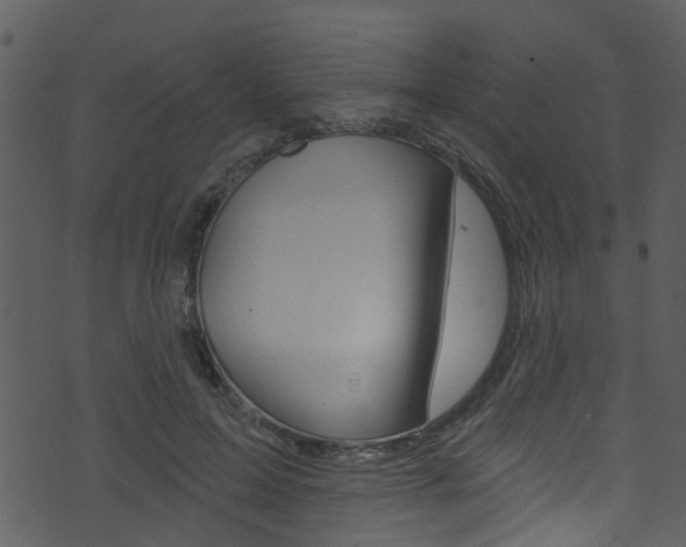 X0000074260599200608250902