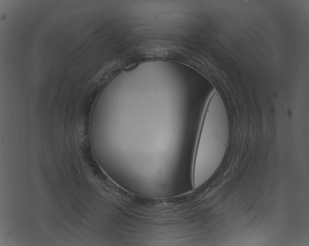 X0000074260600200608250902