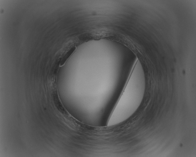 X0000074260601200608250902