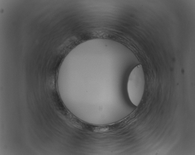 X0000074260602200608250902