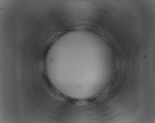 X0000074260603200608250902