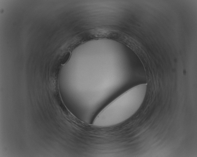 X0000074260604200608250902