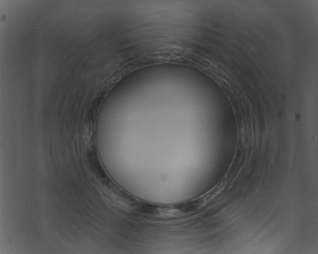 X0000074260605200608250902