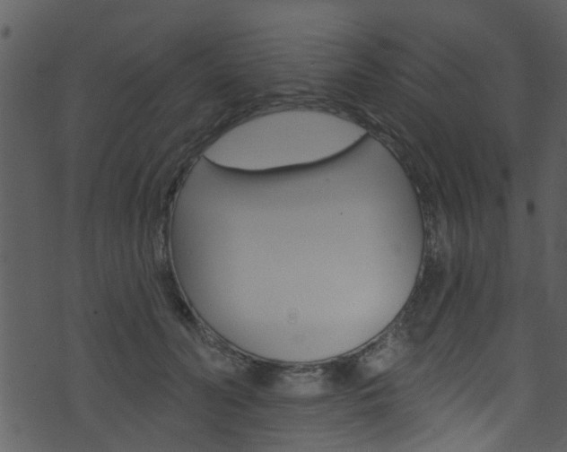 X0000074260606200608250902