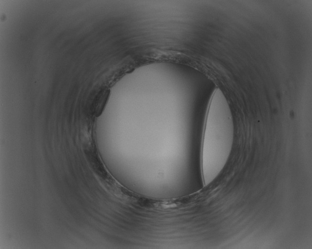 X0000074260607200608250902