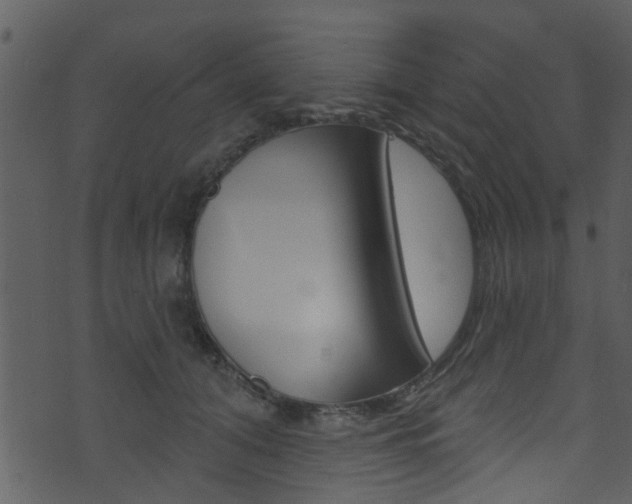 X0000074260608200608250902