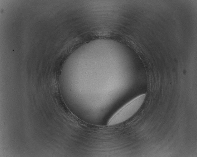 X0000074260609200608250902