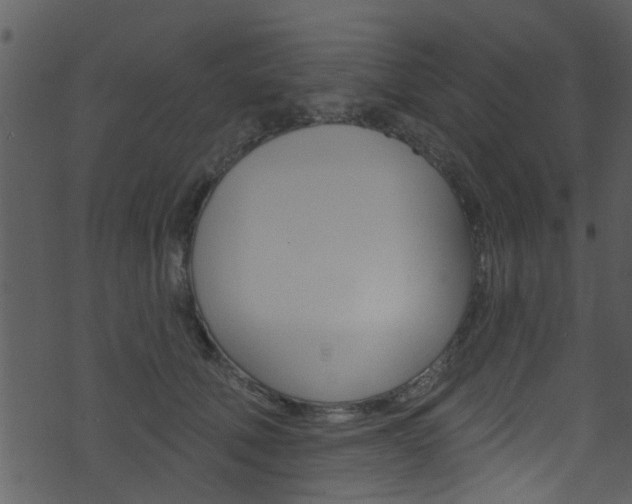 X0000074260610200608250902